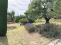 apd04smo1-jardin-provencal