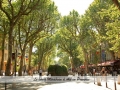 Cours_Mirabeau,_Aix-en-Provence