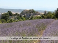 village de vacheres