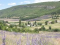 ext2009-049